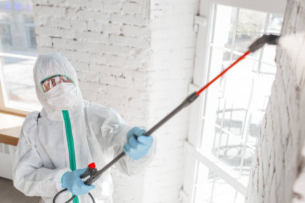 Why You Should Choose Our Mold Remediation Services in Rose Hills, CA